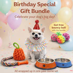 Birthday Special Gift Bundle
