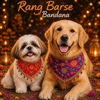 Rang Barse Bandana