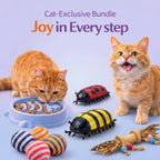 Joy In Every Step