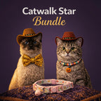 Catwalk Star Bundle