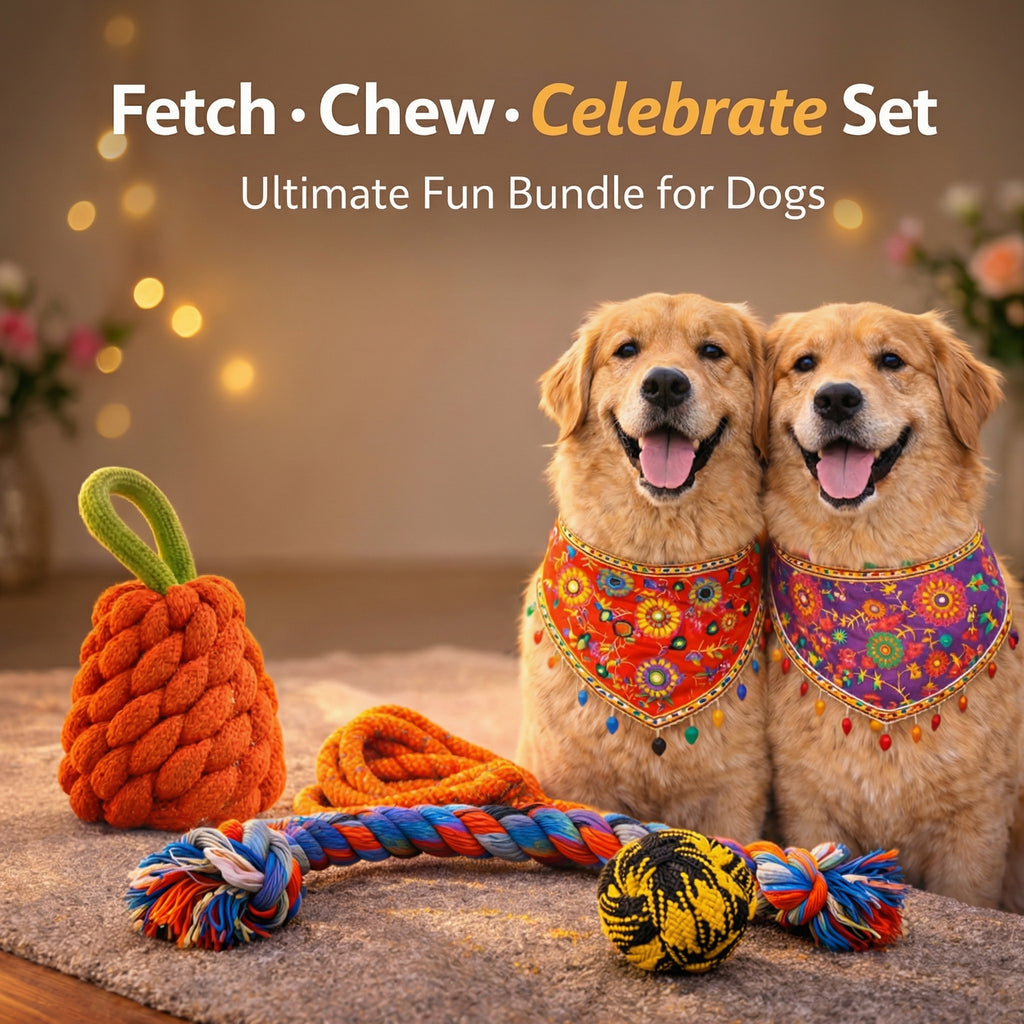 Fetch.Chew.Celebrate Set