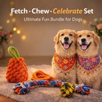 Fetch.Chew.Celebrate Set