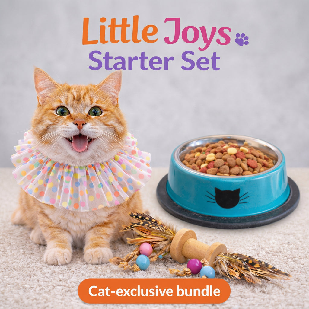 Little Joys Starter Set