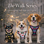 The Walk Series