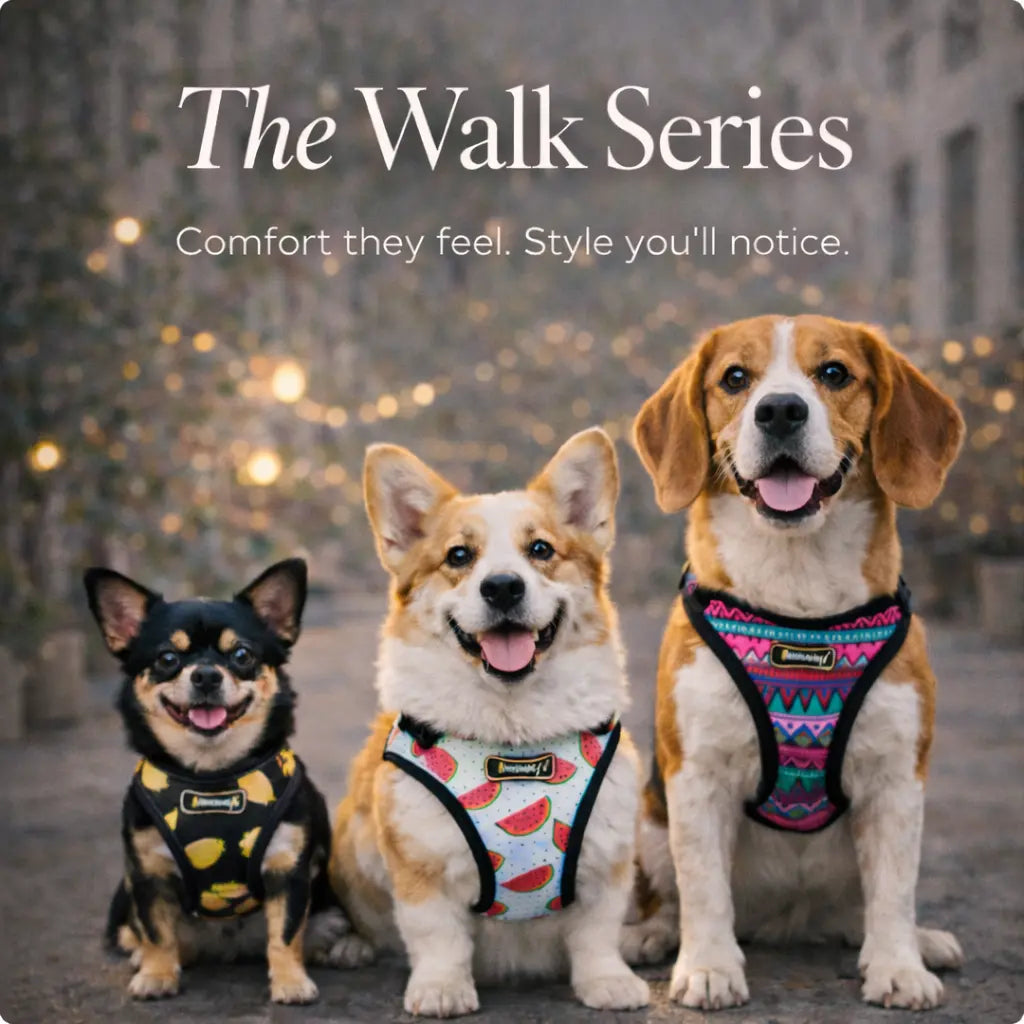 The Walk Series