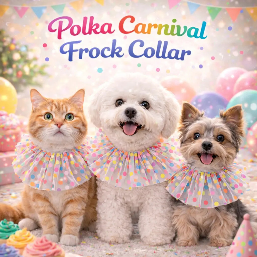 Polka Carnival Frock Collar