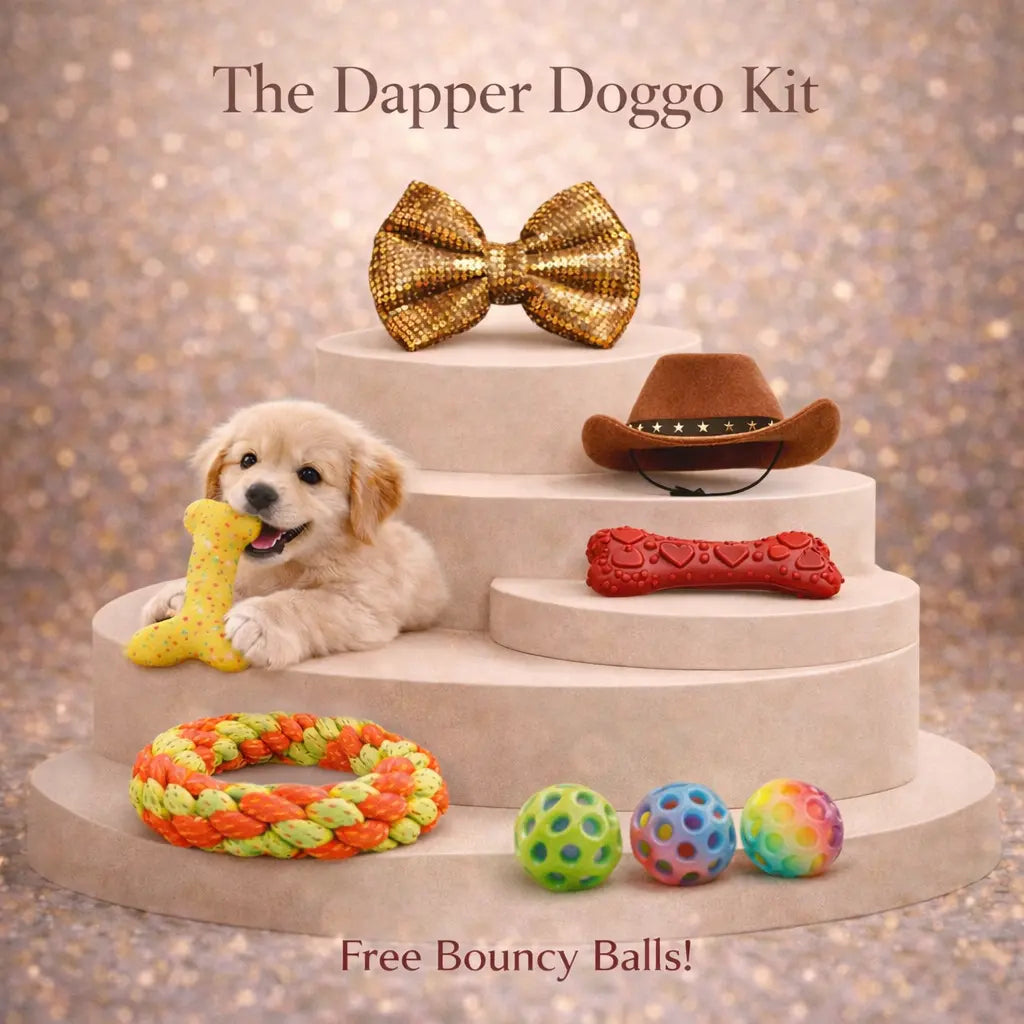 The Dapper Doggo Kit