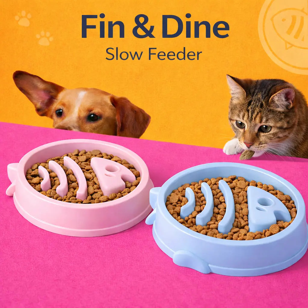 Fin & Dine Slow Feeder