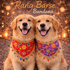 Rang Barse Bandana