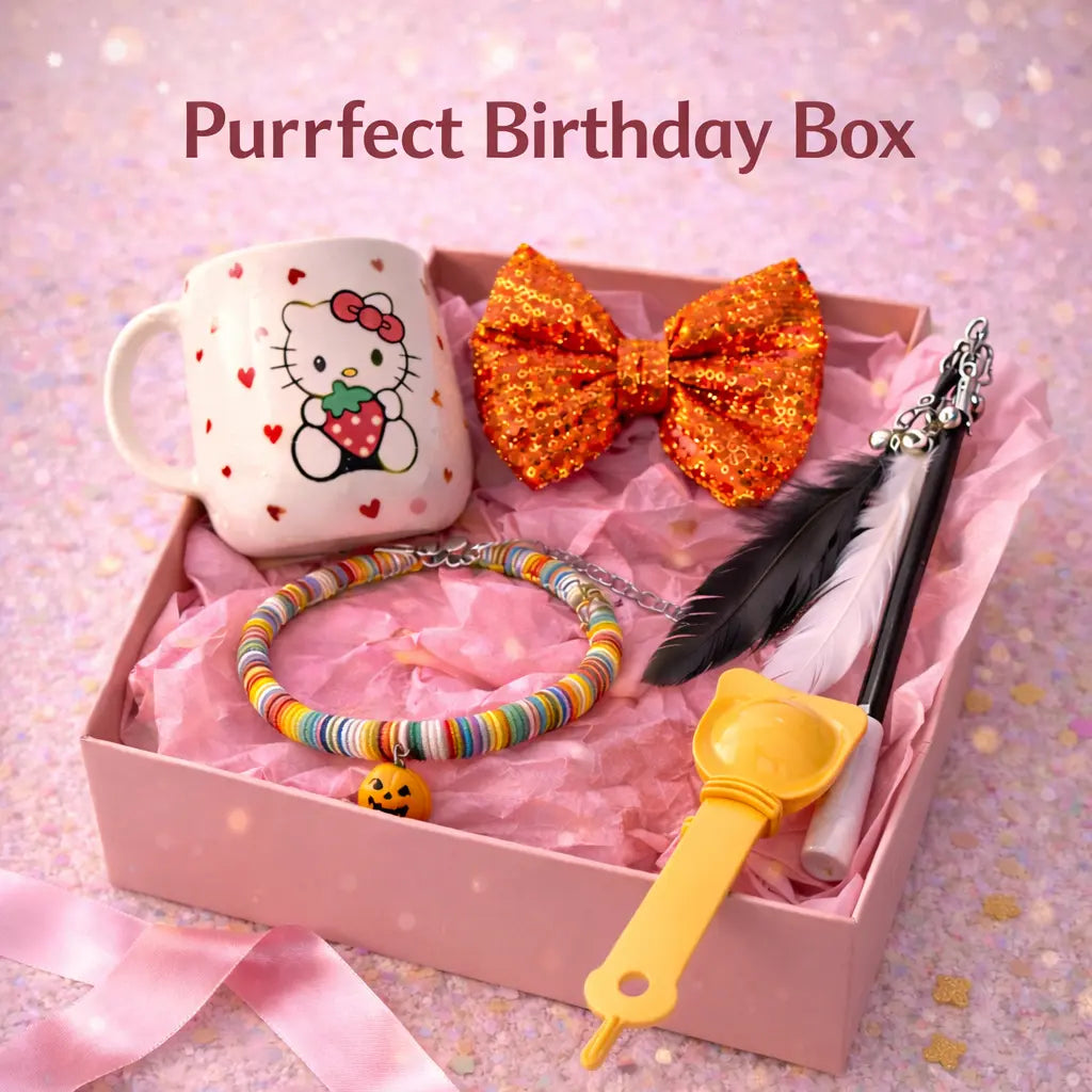 Purrfect Birthday Box