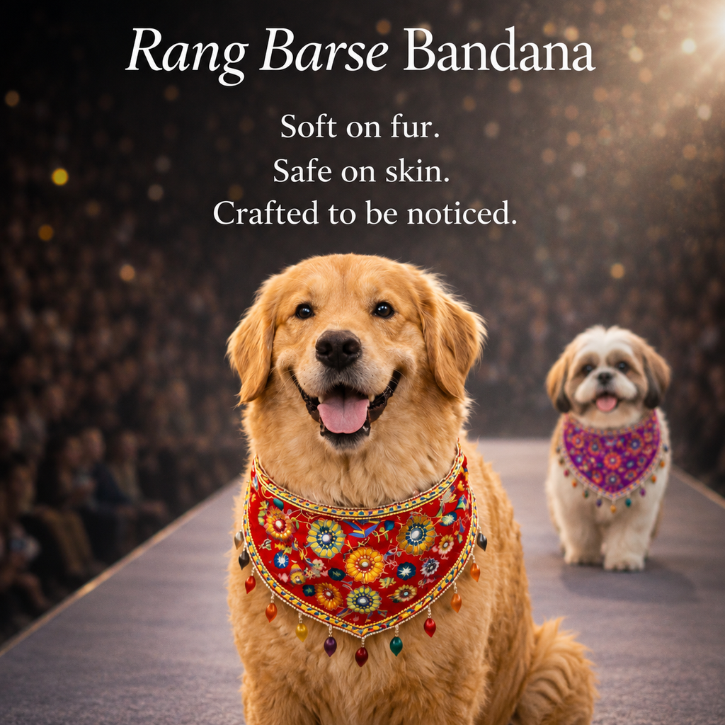 Rang Barse Bandana