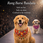 Rang Barse Bandana