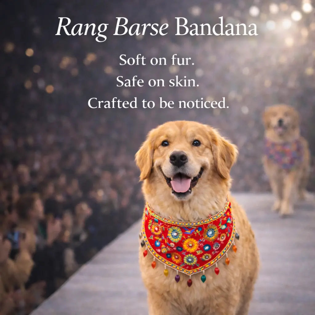 Rang Barse Bandana