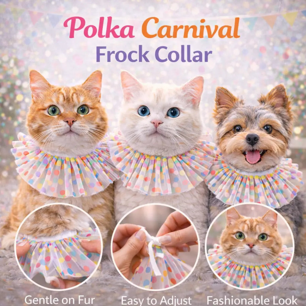 Little Joys Starter Set