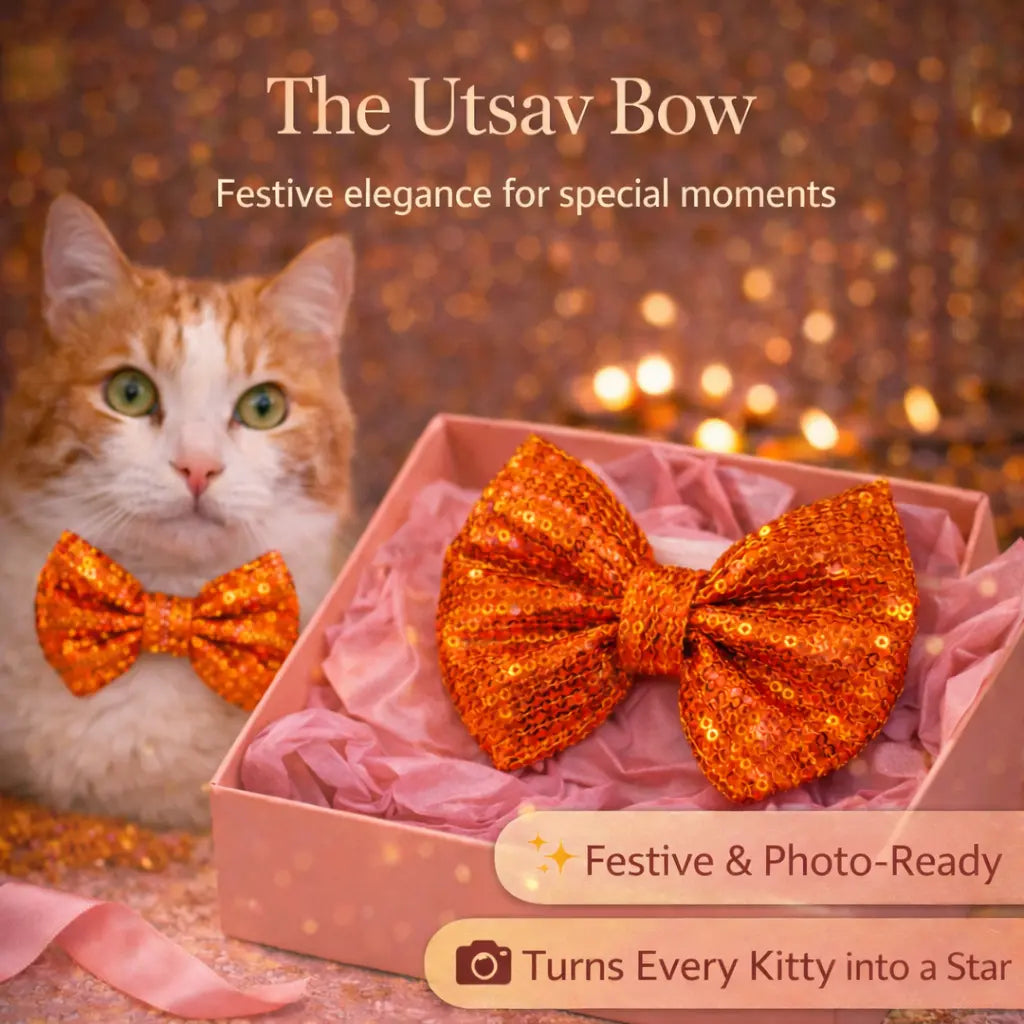 Purrfect Birthday Box