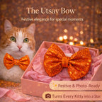 Purrfect Birthday Box