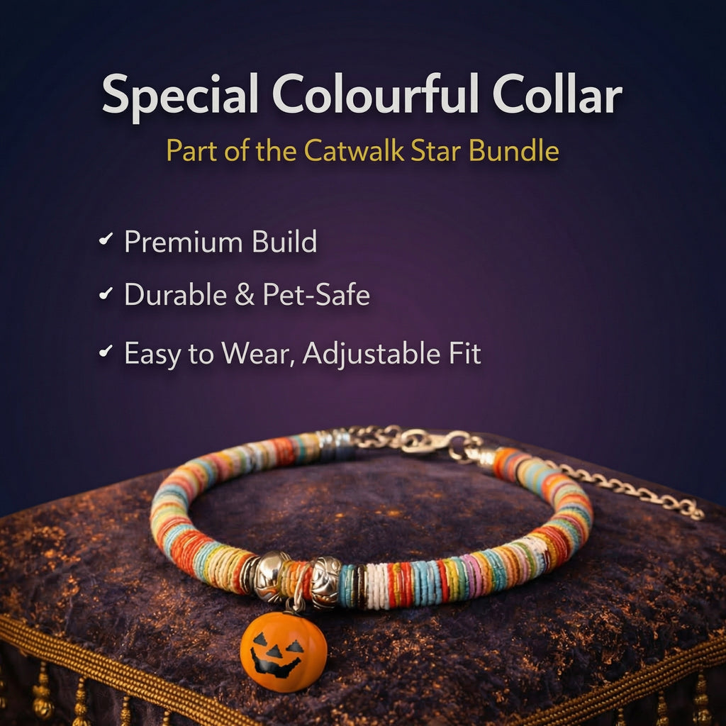 Catwalk Star Bundle