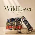 Wildflower Collar