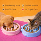 Fin & Dine Slow Feeder