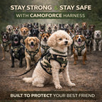 CamoForce Harness