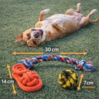Fetch & Flex Trio