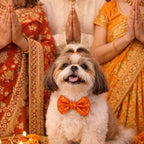 The Utsav Bow