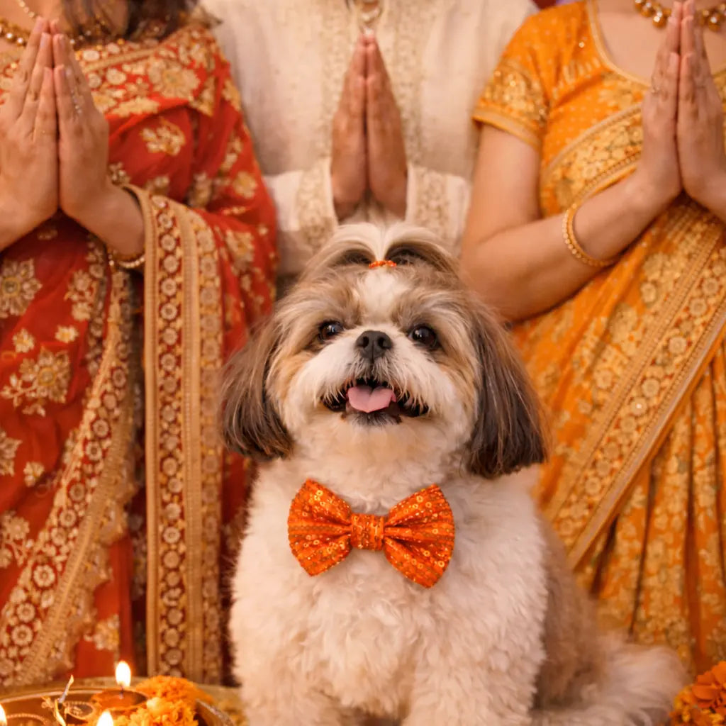 The Utsav Bow