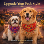 Rang Barse Bandana