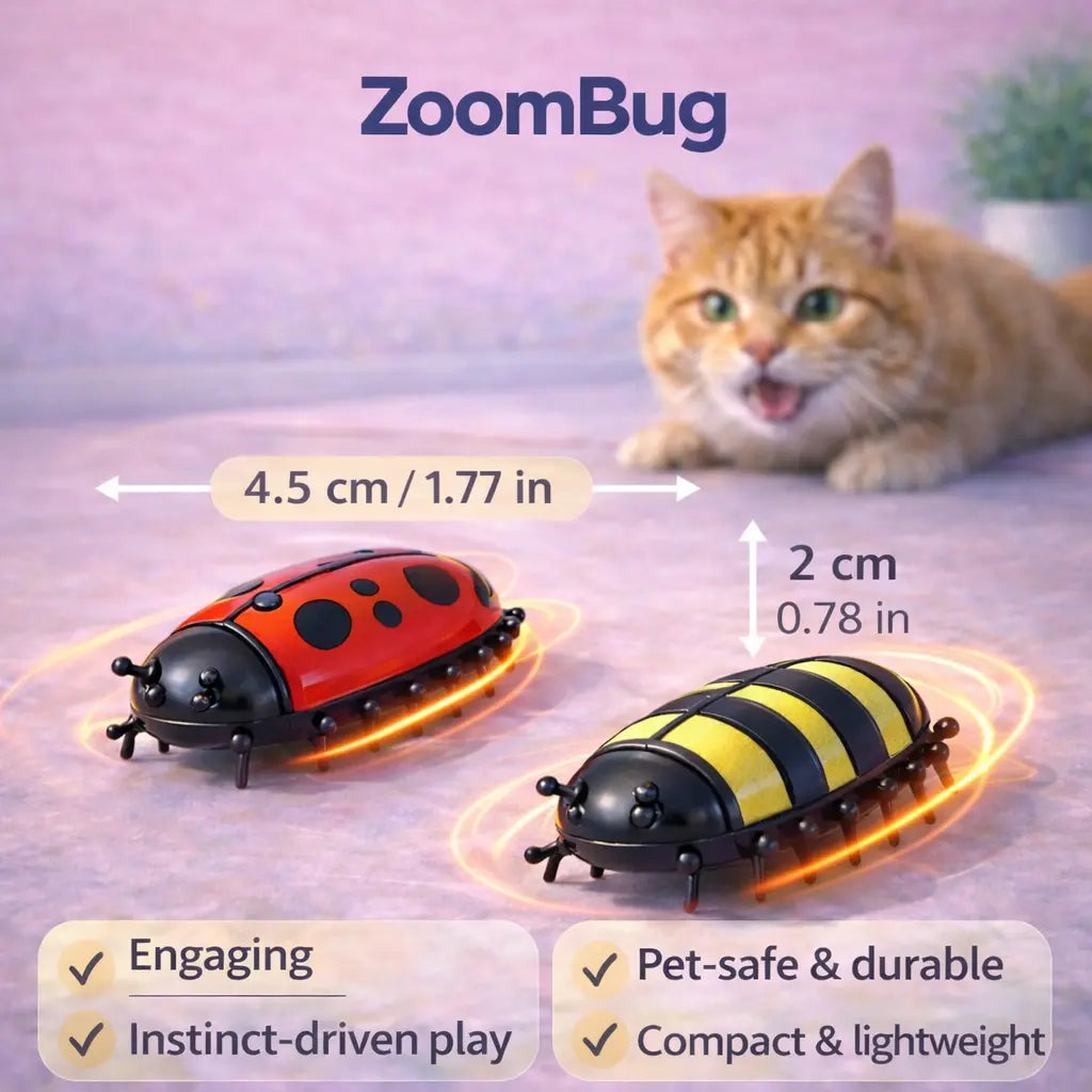 Little Miss Whiskers Kit