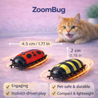 Little Miss Whiskers Kit