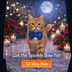 Evening Sparkle Bow