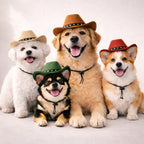 The Mini Maverick Hat
