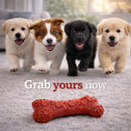 Pawfect Chew