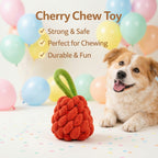 Birthday Special Gift Bundle