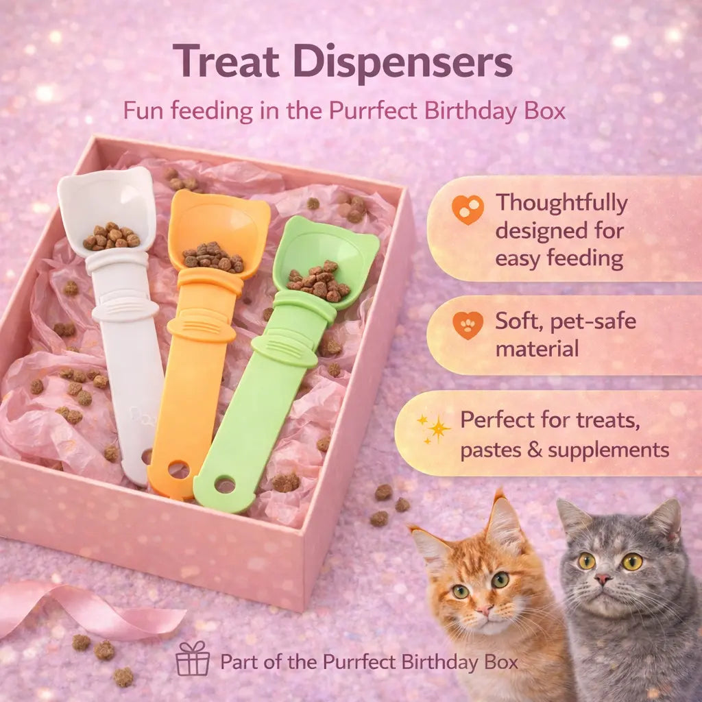 Purrfect Birthday Box