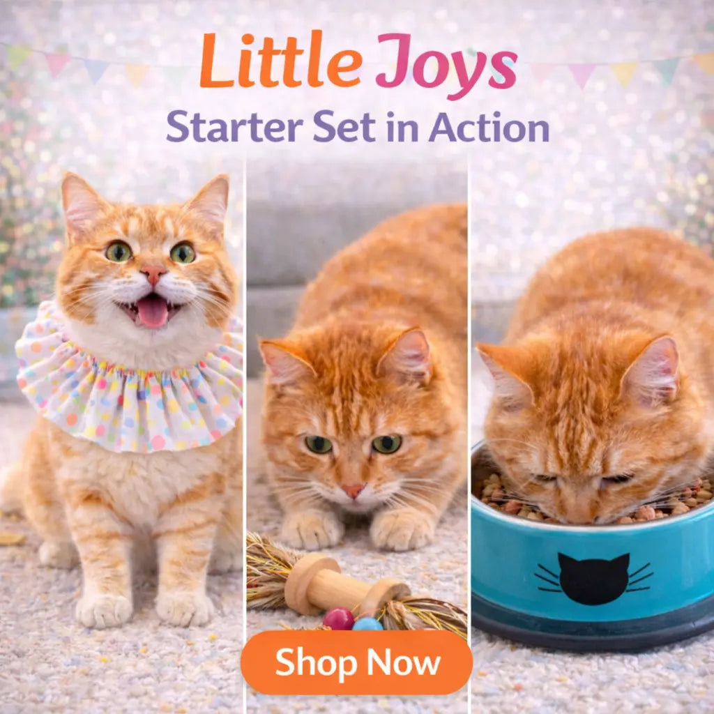 Little Joys Starter Set