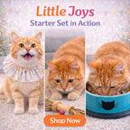 Little Joys Starter Set