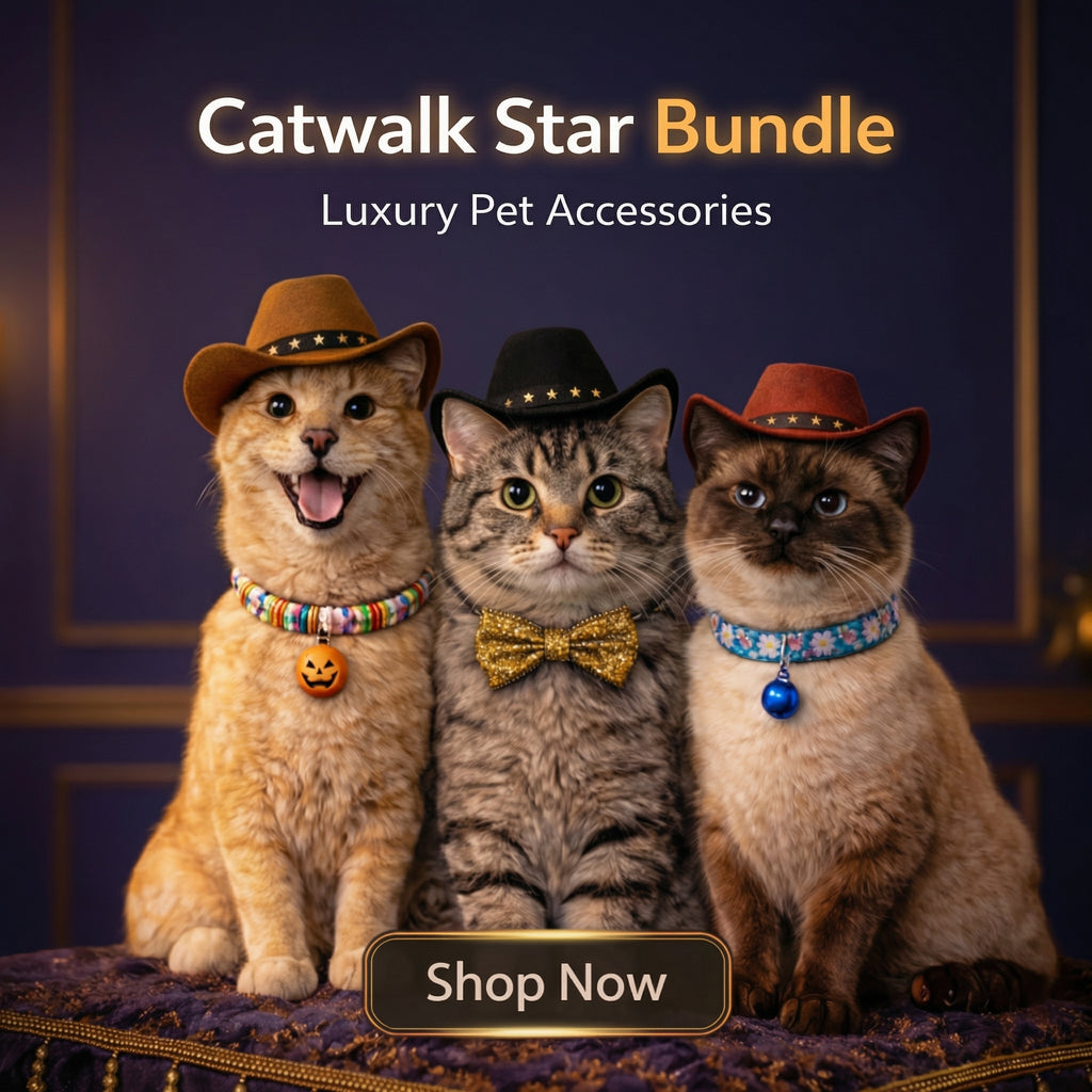 Catwalk Star Bundle