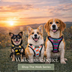 The Walk Series