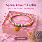 Purrfect Birthday Box