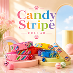 Candy Stripe Collar Set of 2