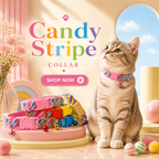Candy Stripe Collar Set of 2