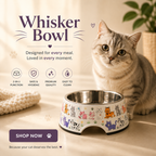 Whisker Bowl Stainless Steel & Melamine Cat Bowl