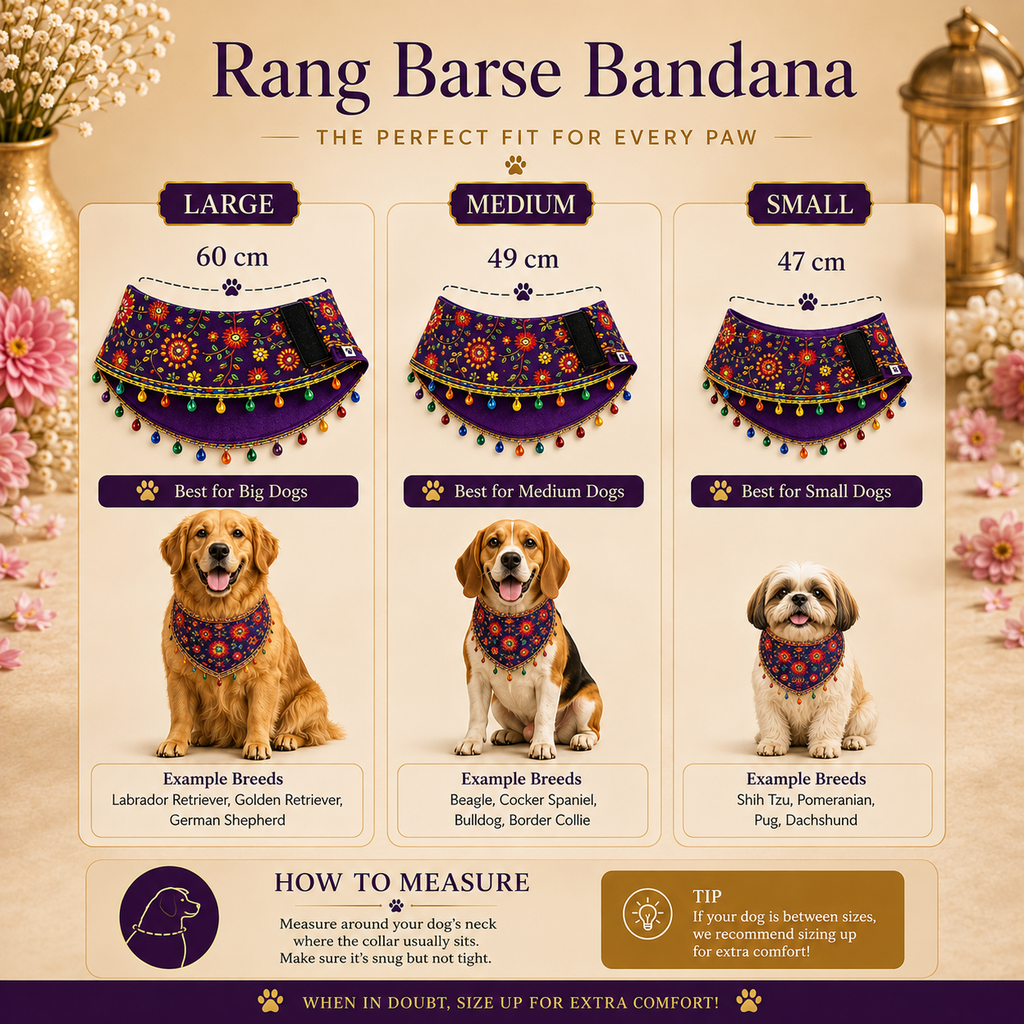 Rang Barse Bandana