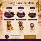 Rang Barse Bandana