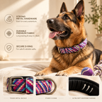 SoftStride Collar