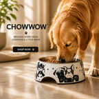 ChowWow™ Stainless Steel & Melamine Dog Bowl