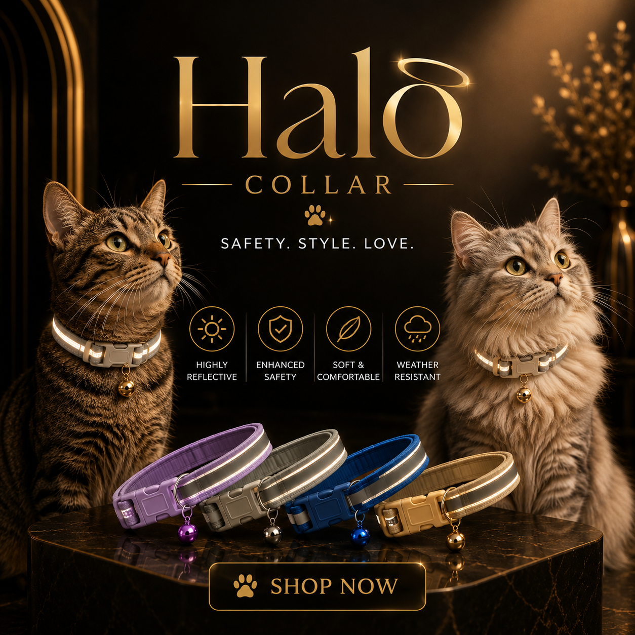 Halo Collar Set of 2